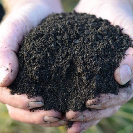 agromindtechnologies.com , Agromind Technologies , Peat-Free-Organic-Compost-500x500